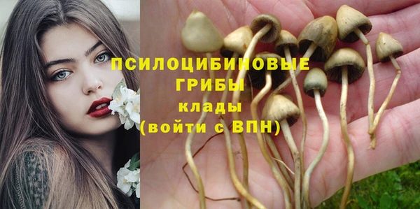каннабис Алексеевка