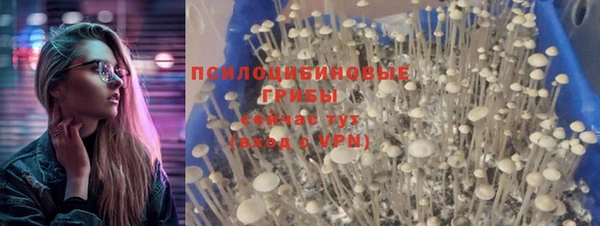 ALPHA-PVP Алексин