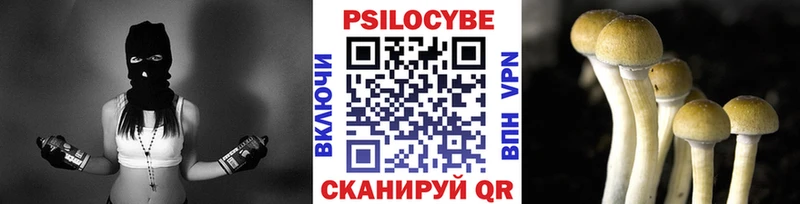 гидра вход Мамоново Псилоцибиновые грибы ЛСД хочу